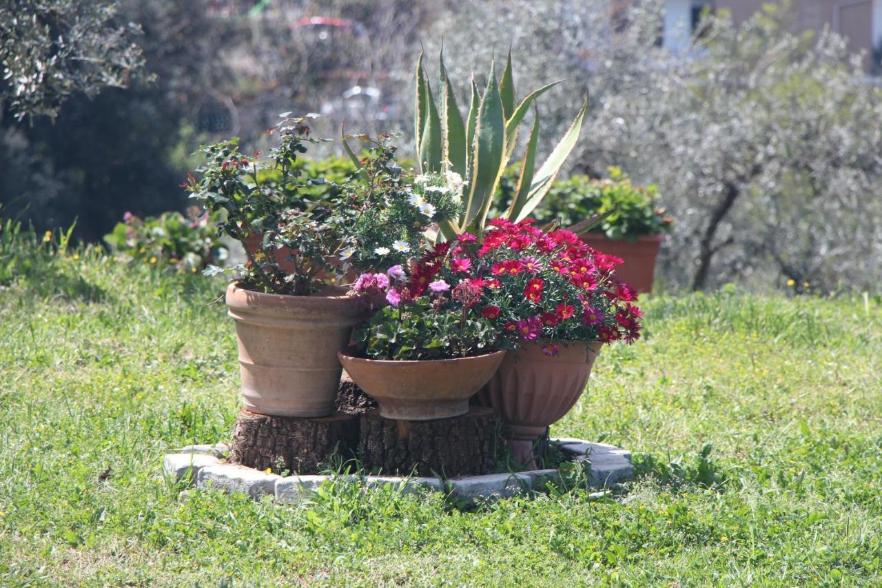 B&B La Terrazza Di Frascati Exterior foto