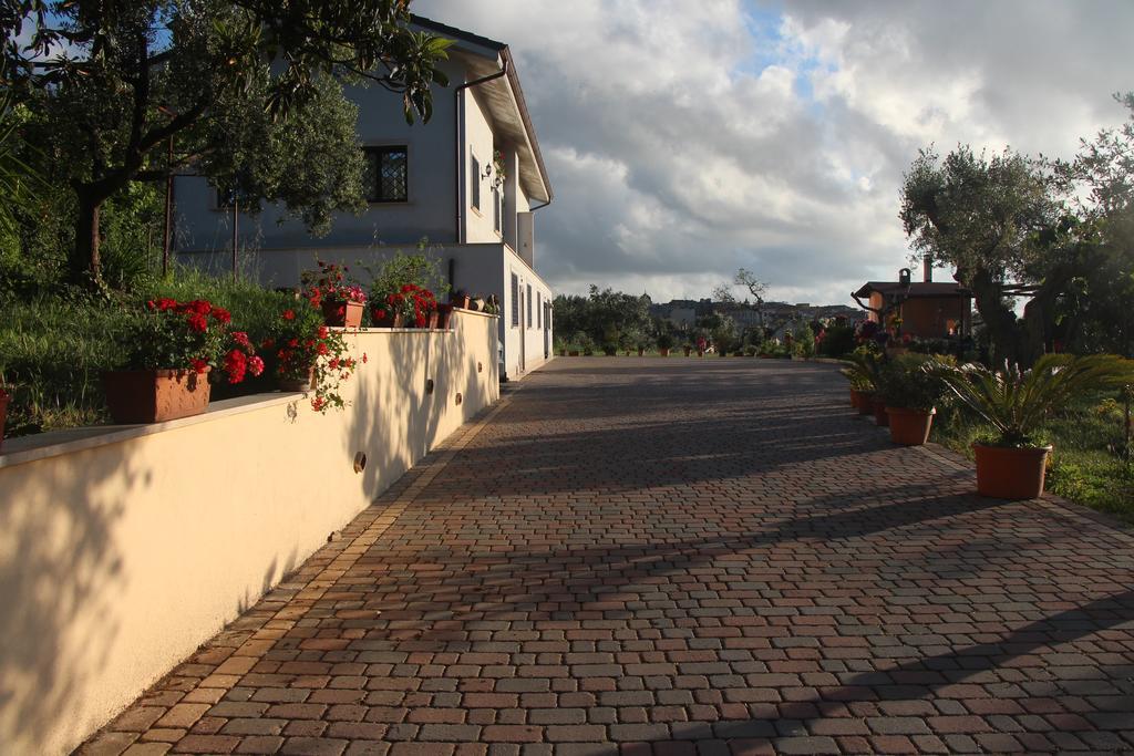 B&B La Terrazza Di Frascati Exterior foto