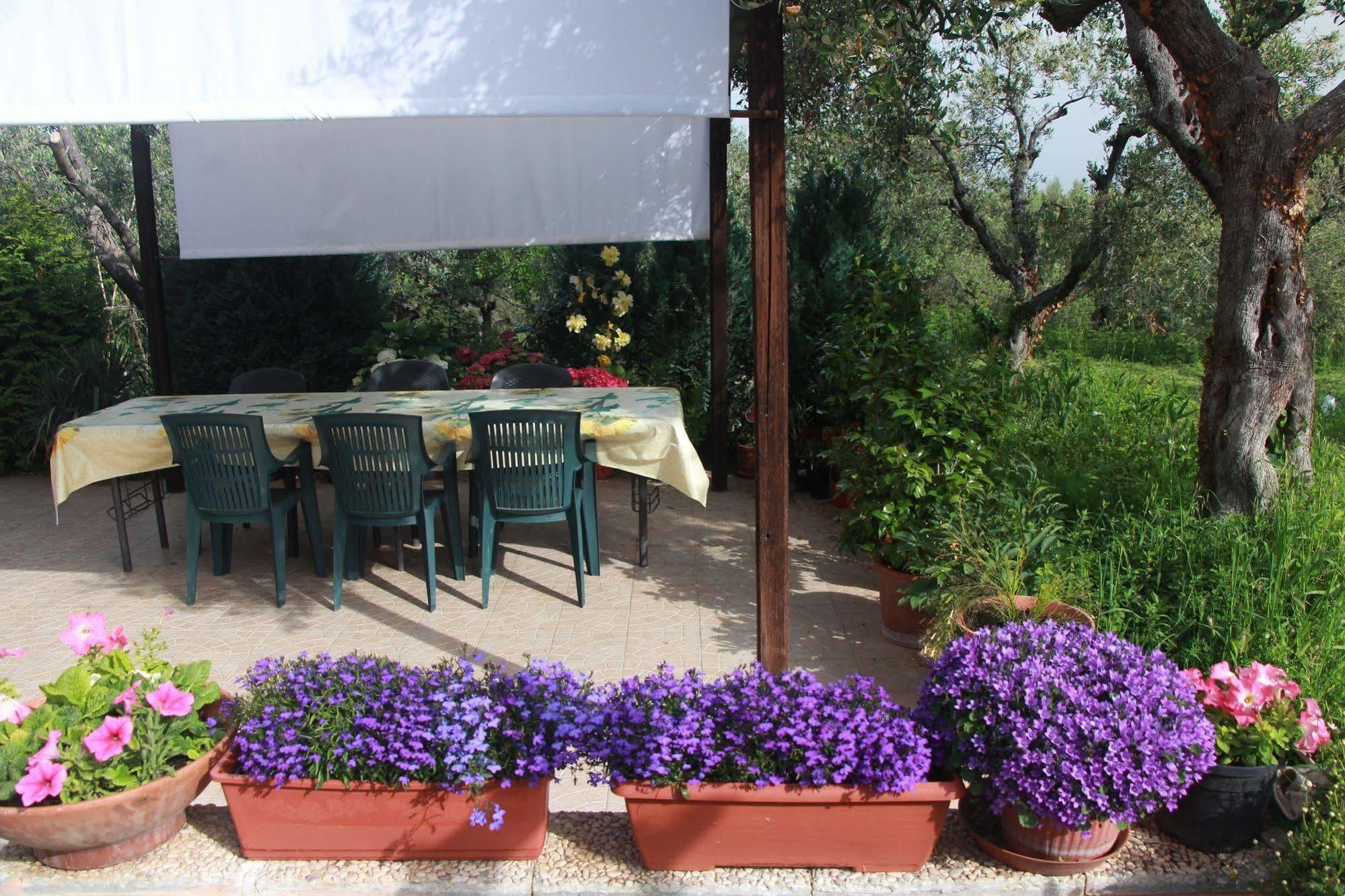 B&B La Terrazza Di Frascati Exterior foto